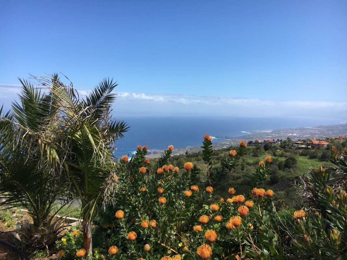 Ecolodge Tenerife Genovés Екстериор снимка